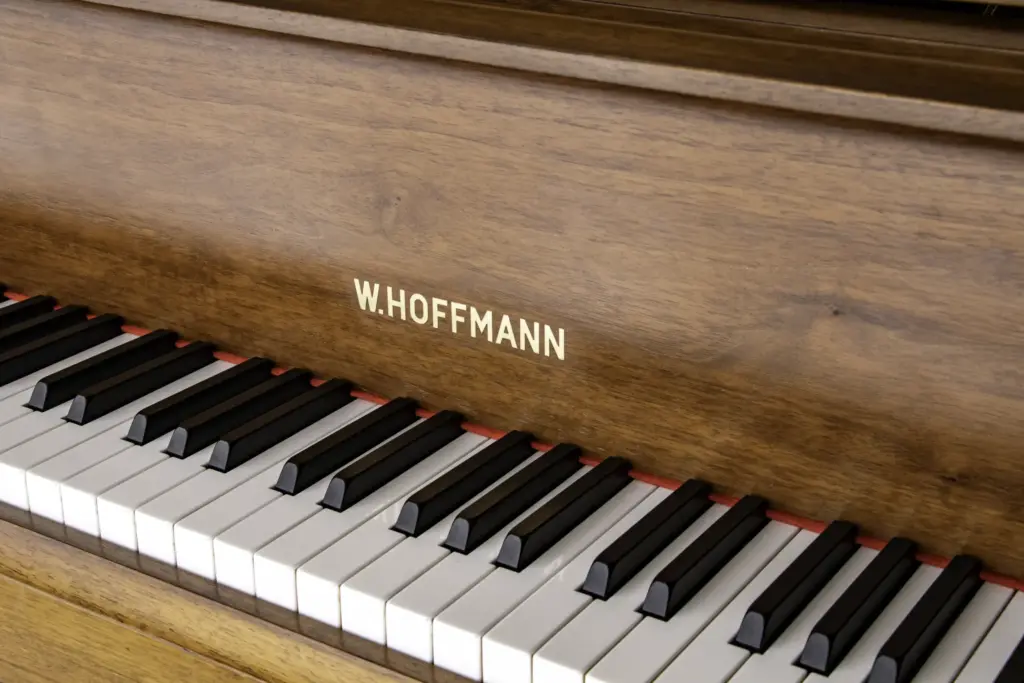 W. Hoffmann 165,