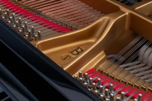 Steinway & Sons B-211,