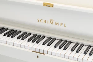Schimmel Chippendale,