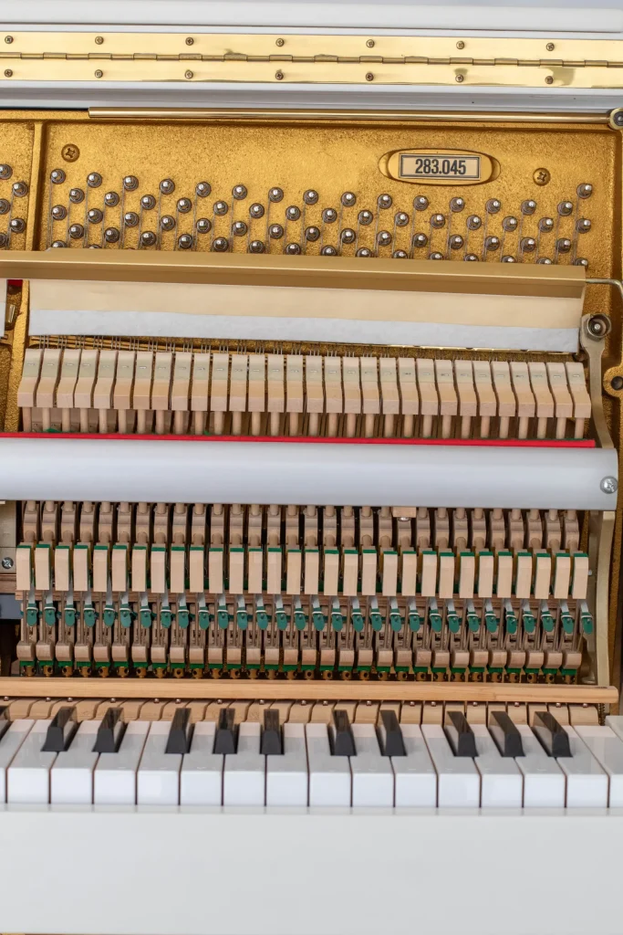 Schimmel Chippendale,