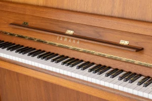 Yamaha E116,
