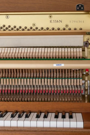 Yamaha E116,