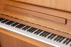 Yamaha E116,