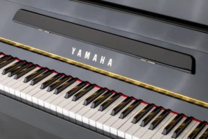 Yamaha C110A,