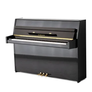 Yamaha b1,
