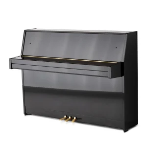 Yamaha b1,