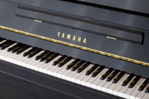 Yamaha b1,