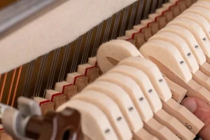 Yamaha b1,
