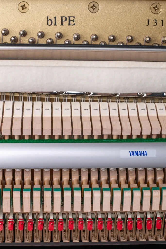 Yamaha b1,