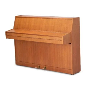 Schimmel 104,