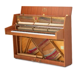 Schimmel 104,