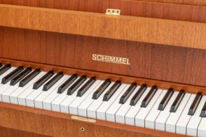 Schimmel 104,