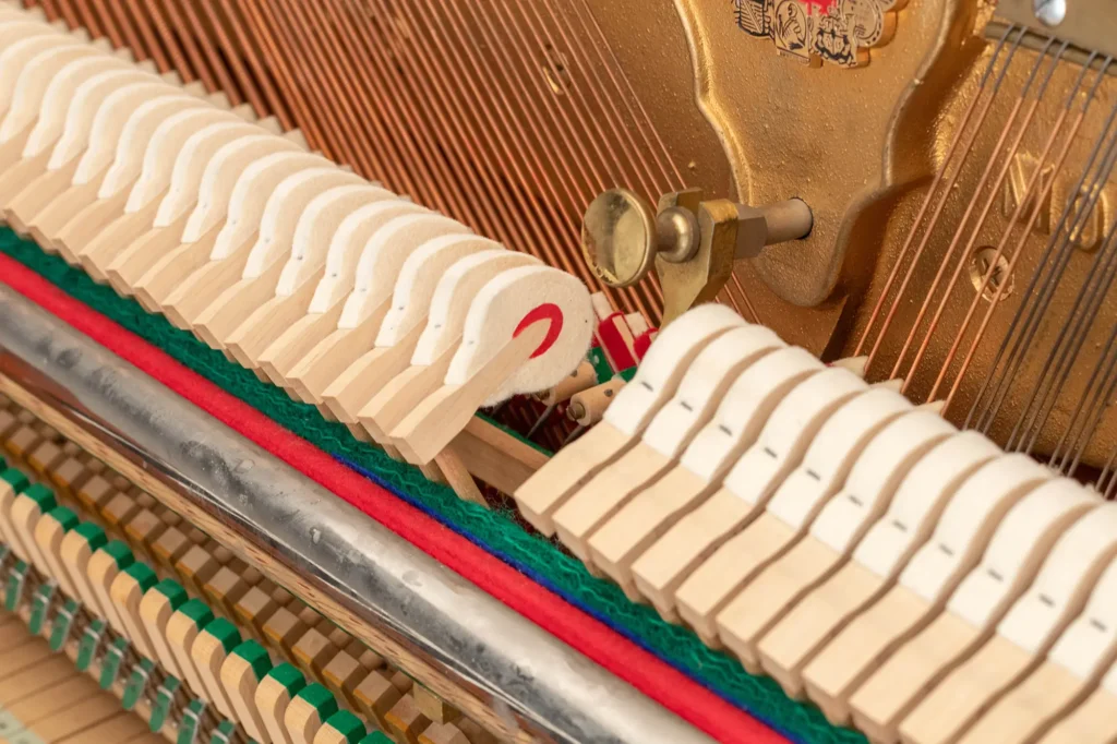 Schimmel 104,