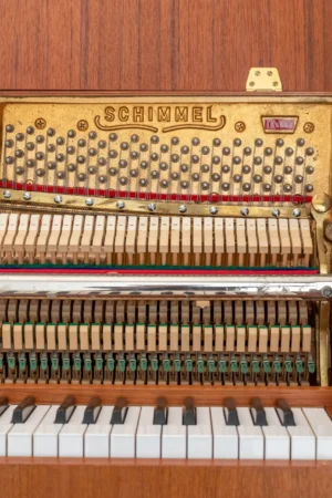 Schimmel 104,