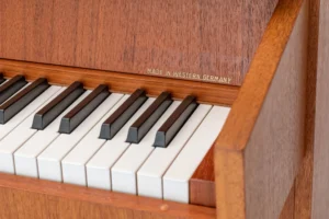 Schimmel 104,
