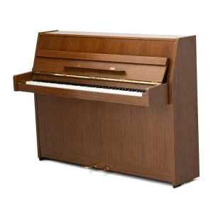 Yamaha Eterna ER-10,