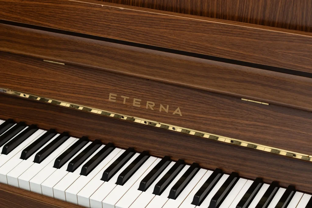 Yamaha Eterna ER-10,