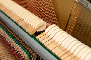 Yamaha Eterna ER-10,