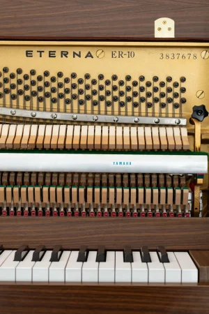 Yamaha Eterna ER-10,