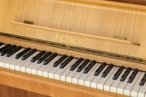 Petrof 120,
