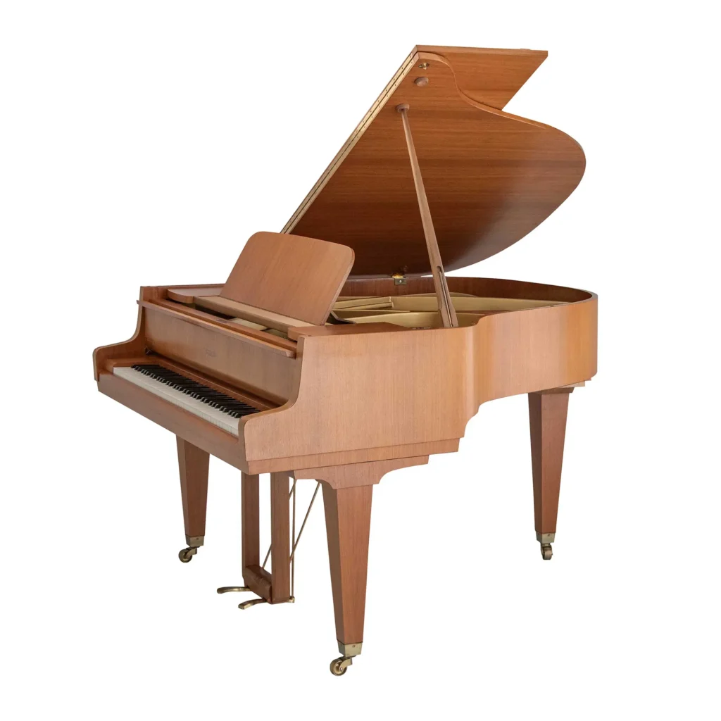 Schimmel 150,