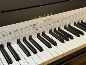 TonGenau® Classic Klaviatur Schablone,