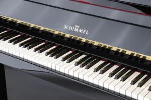 Schimmel 112,