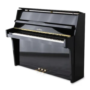 Schimmel 112,