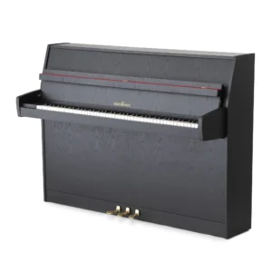 Schimmel 106,