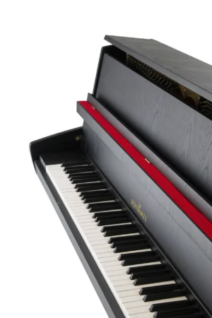 Schimmel 106,