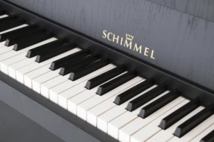 Schimmel 106,