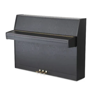 Schimmel 106,