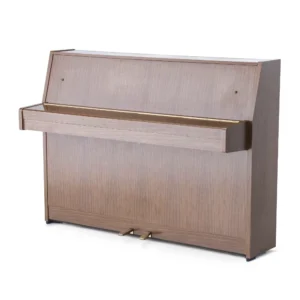 Yamaha Eterna,