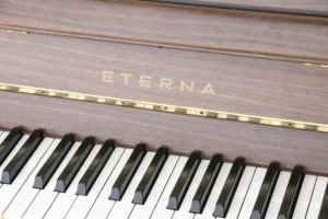 Yamaha Eterna,