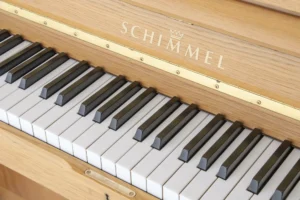Schimmel 118T,
