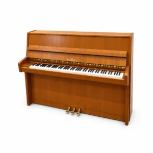 Schimmel 113,
